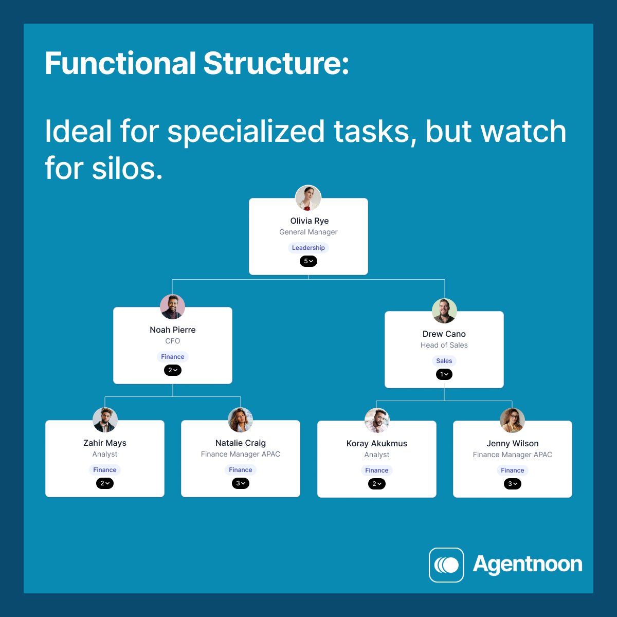 Functional Structure