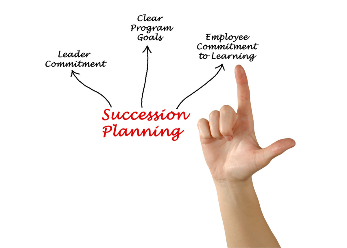 Succession Planning Infographic